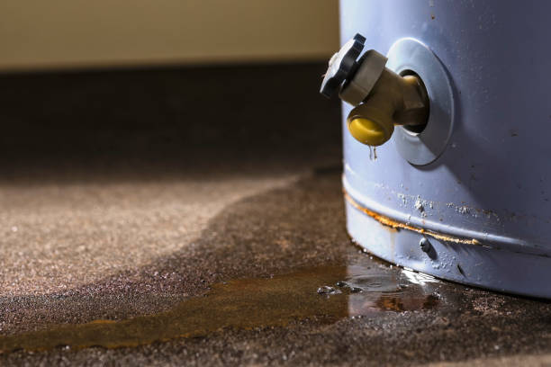 Best Water damage contractors near me  in Southern View, IL