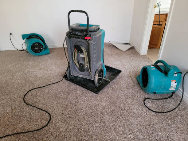 Southern View, IL Water damage restoration Company