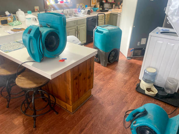 Best Flooded house restoration  in Southern View, IL