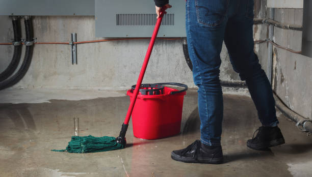 Best Commercial water damage restoration  in Southern View, IL
