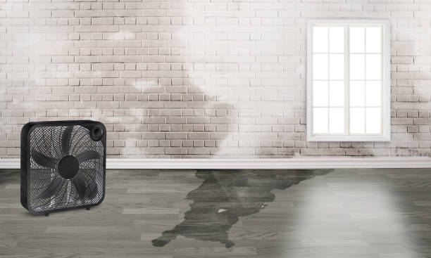 Water damage restoration experts in Southern View, IL