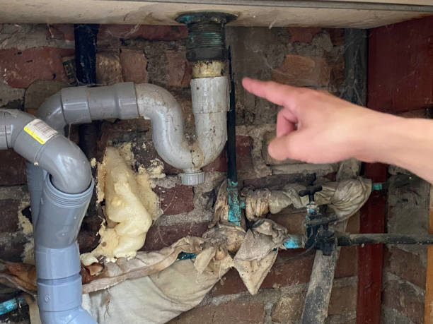 Best Water damage restoration experts  in Southern View, IL